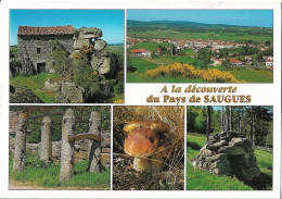 SAUGUES - Vues - Saugues