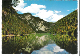 Ausseer Land - Toplitzsee Bei Gössl Am Grundlsee - Von 1980 (6371) - Ausserland