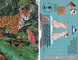 D/ NL , CXD Mint,  Artists United For Nature, MINT, Frog, Tiger, Butterfly... - Andere & Zonder Classificatie