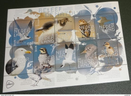 Nederland - NVPH - Xxxx - 2020 - Postfris - MNH - Beleef De Natuur - Vel - Kustvogels - Ongebruikt