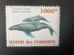 Comores Comoros Komoren 2003 Mi. 1794 Baleine à Bosse Whale Wal Megaptera Nouaeangline Faune Marine Fauna - Comores (1975-...)