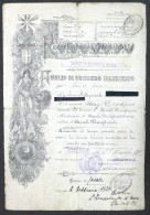 Regio Esercito Italiano - Foglio Di Congedo Illimitato - Casale - 1920 - Documents