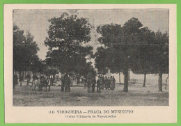 Vidigueira - Praça Do Município. Beja. Portugal. - Beja