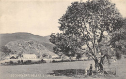 CPA BEDDGELERT GELERT'S GRAVE - Caernarvonshire