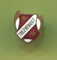 Freemasons Masonic Lodge Trezvenost Kingdom Of Yugoslavia, Old Pin Badge Abzeichen, Enamel Buttonhole Pre WW2 - Francmasonería