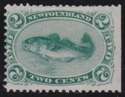 Newfoundland     .    SG    .   25  (2 Scans)      .    (*)      .     Without Gum - 1865-1902