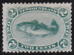 Newfoundland     .    SG    .   25  (2 Scans)      .    (*)      .     Without Gum - 1865-1902