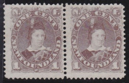 Newfoundland     .    SG    .   34  Pair  (2 Scans)      .    (*)      .     Without Gum - 1865-1902