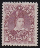 Newfoundland     .    SG    .   35  (2 Scans)      .    (*)      .     Without Gum - 1865-1902