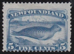 Newfoundland     .    SG    .   53  (2 Scans)      .   *     .     Mint-hinged - 1865-1902