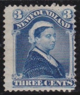 Newfoundland     .    SG    .   47  (2 Scans)      .    (*)      .     Without Gum - 1865-1902