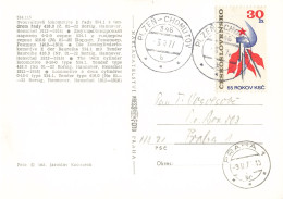 Bahnpost (R.P.O. / T.P.O.) Plzeň-Chomutov (BP1191) - Storia Postale