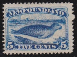 Newfoundland     .    SG    .   53  (2 Scans)     .   *     .       Mint-hinged - 1865-1902