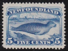 Newfoundland     .    SG    .   53  (2 Scans)     .   *     .       Mint-hinged - 1865-1902