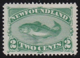 Newfoundland     .    SG    .   46         .     O     .       Cancelled - 1865-1902