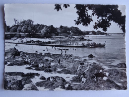 CP 29 Finistère - BEG MEIL - La Plage De La Cale Et La Jetée - Beg Meil