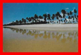 CPSM/gf CAMACARI (Brésil) Praia De Itacimirim...P284 - Salvador De Bahia