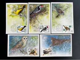 RUSSIA USSR 1979 BIRDS SET OF 5 MAXIMUM CARDS MICHEL 4883/4887 SOVJET UNIE CCCP SOVIET UNION - Tarjetas Máxima