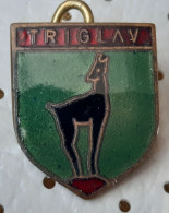 Triglav Alpinism, Mountaineering Slovenia Vintage Enamel  Pin - Alpinismo, Escalada