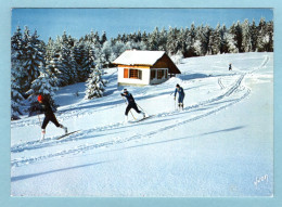 CP Sport - Ski Nordique - Sports D'hiver