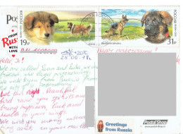 C11 : Russia - Dog, Stamps Used On Postcard - Cartas & Documentos