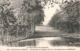 PLOEMEUR - Étang Bois Et Château Du TER à St-MATHURIN - VENTE DIRECTE X - Ploemeur