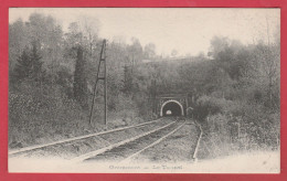 Geraardsbergen / Grammont -  Le Tunnel  -1905 ( Verso Zien ) - Geraardsbergen