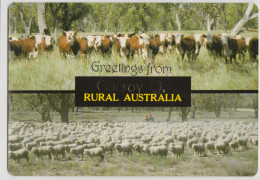 Australia QUEENSLAND QLD Cattle Sheep Farms Greetings From COOROY Murray Views W674A Dual View Postcard C1980s - Andere & Zonder Classificatie