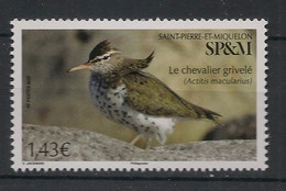 SPM - 2022 - N°Yv. 1277 - Oiseau / Chevalier - Neuf Luxe ** / MNH / Postfrisch - Unused Stamps