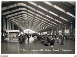 ROMA:  INGRESSO  DELLA  STAZIONE  TERMINI  -  BIGLIETTERIA  -  FOTO  -  FG - Stazione Termini