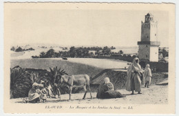 El-Oued - La Mosquee Et Les Jardins Du Souf - El-Oued