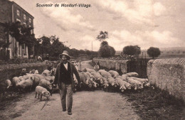 Mondorf Village - Souvenir Du Village - Berger Troupeau De Cochons - Agriculture - Luxembourg - Mondorf-les-Bains