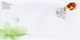 Hong Kong - 2023 - New Year 2023 - Lychee Fruit - Official FDC (first Day Cover) - FDC