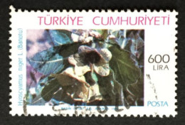 TURQUIE / 1987-89 / N°Y&T : ND - Other & Unclassified