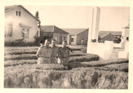 Militaria - Photo Ancienne - Militaires à MEKNES - Août 1952 - Maroc - Meknes
