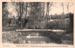 Fayl Billot - Passerelle Sur La Rivière Du Moulin Aux Moines - Fayl-Billot
