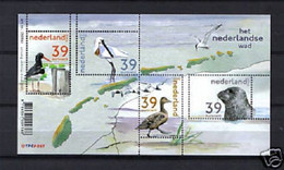 Nederland Plaatfout NVPH 2170aPM Compleet Vel Het Nederlands Wad 2003 MNH Postfris - Plaatfouten En Curiosa