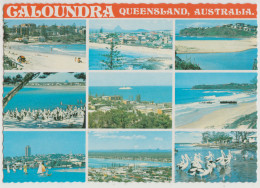 Australia QUEENSLAND QLD Beach Coastal Pelican Multiviews CALOUNDRA Kuskopf 165 Postcard C1970s - Sunshine Coast