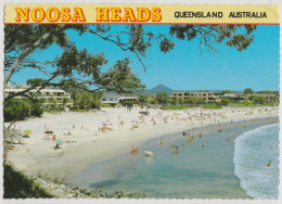 Australia QUEENSLAND QLD Surfing Beach NOOSA HEADS Sunshine Coast Kuskopf 250 Postcard C1970s - Sunshine Coast