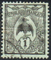 NOUVELLE CALEDONIE NEW NUOVA CALEDONIA 1905 1928 KAGU BIRD CENT. 1c  USATO USED OBLITERE' - Gebraucht