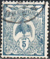 NOUVELLE CALEDONIE NEW NUOVA CALEDONIA 1905 1928 1921 KAGU BIRD CENT. 5c USATO USED OBLITERE' - Gebraucht