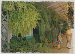 Australia QUEENSLAND Fernery KURANDA Railway Station Murray Views W49 Postcard C1970s - Cairns