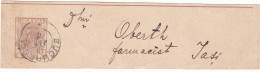 ROMANIA ROMÂNIA POSTAL STATIONERY,BAND NEWSPAPER WRAPPER 1897 - Brieven En Documenten