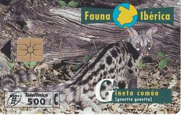 ¡¡OFERTA!! P-330 TARJETA GINETA COMÚN FAUNA IBERICA DEL 5/98 Y TIRADA 12000 - Emissioni Private