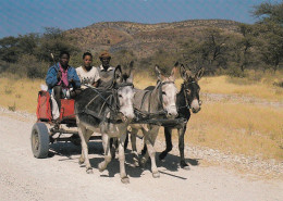 Namibia - Donkey Cart  - Namibie