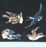 ► Lot 4 Hirondelles    -  Decoupis époque Victorienne XIXe "Victorian Die-cuts" - Animales