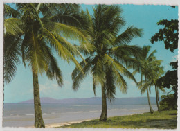 Australia QUEENSLAND QLD Coconut Palm Lined Beach Murray Views W529 Postcard C1970s - Other & Unclassified