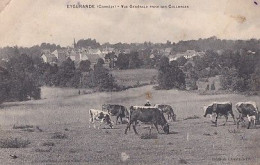 EYGURANDE    VUE GENERALE PRISE DES COLLONGES         PATURAGE   VACHES - Eygurande