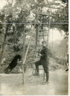 2 Photos Grande Guerre Dans La Forêt, Format 13/17 - Guerre, Militaire