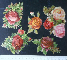 ►  Lot 5 Belles Roses .  (Thème Fleurs)  Découpis époque Victorienne XIXe "Victorian Die-cuts" - Fleurs